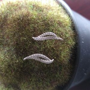 Nadri White Rhodium micro pave earrings